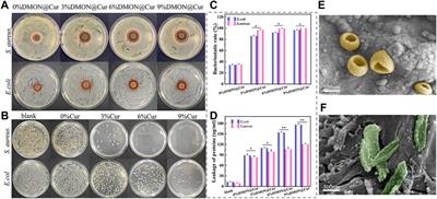 Mussel-inspired HA@TA-CS/SA biomimetic 3D printed scaffolds with antibacterial activity for bone repair